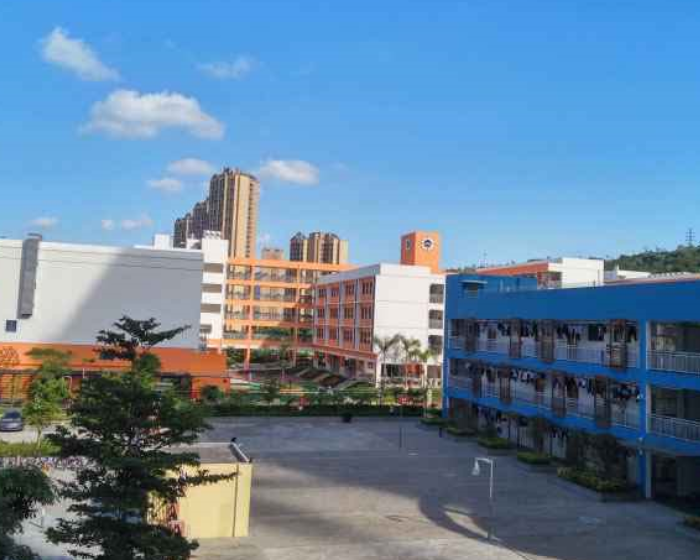 人大附中深圳学校（九年一贯部）课桌椅和蜜桃视频免费看网站采购