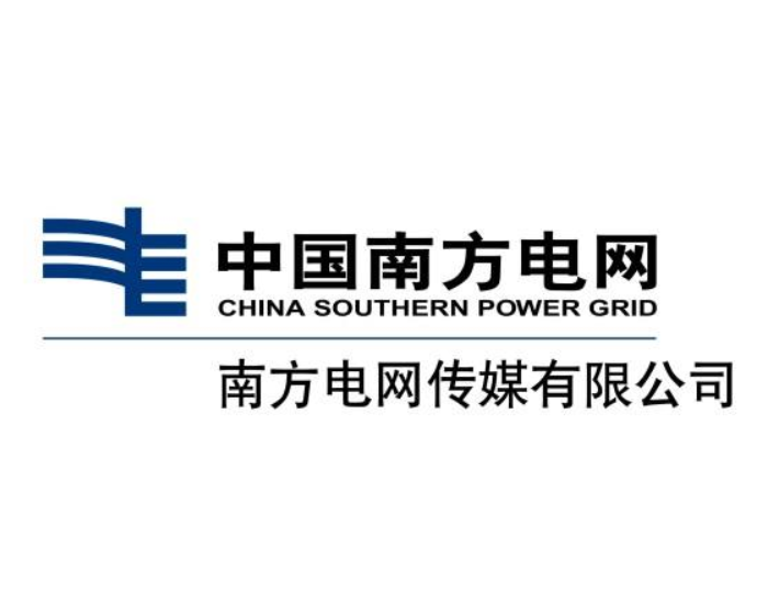 南方电网传媒有限公司蜜桃视频免费看网站采购项目